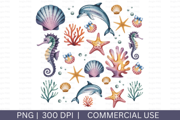Coquette Shells, Coastal Aesthetic PNG