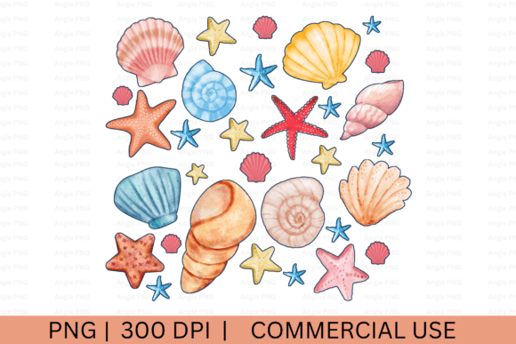 Summer Sea Shells PNG Review