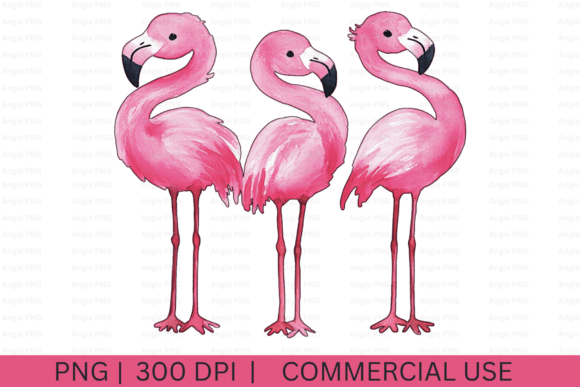Watercolor Pink Flamingos PNG